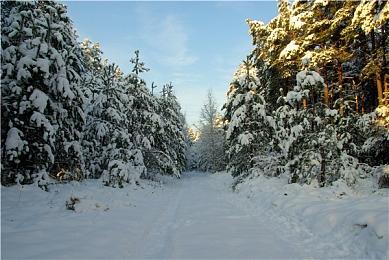 《名侦探柯南：贝克街的亡灵》今日上映 经典重逢大银幕柯迷必看